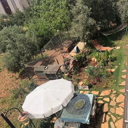 公寓式酒店 Garden Apart *